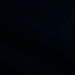 Meet your Posher, Paige